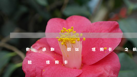 有過逾期還可以辦信用卡嗎(之前有過逾期還能辦信用卡嗎)