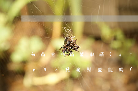 有過逾期還能申請(qǐng)的網(wǎng)貸(逾期還能網(wǎng)貸嗎)