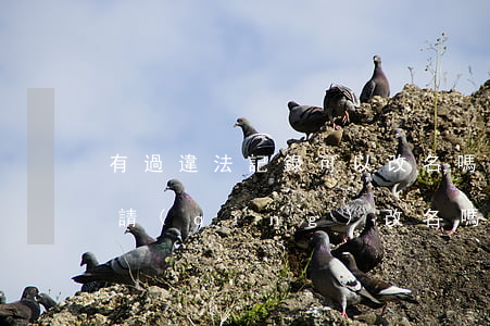 有過違法記錄可以改名嗎(有犯罪記錄可以申請(qǐng)改名嗎)