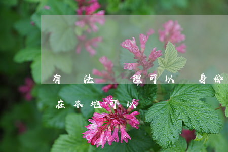有違法沒處理可以補身份證嗎(身份證補辦不在本地可以補辦嗎)