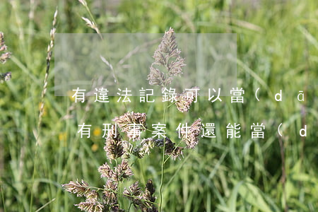 有違法記錄可以當(dāng)教師嗎(教師有刑事案件還能當(dāng)教師)