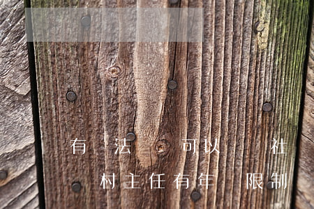 有違法記錄可以競選社區(qū)主任嗎(競選村主任有年齡限制嗎)