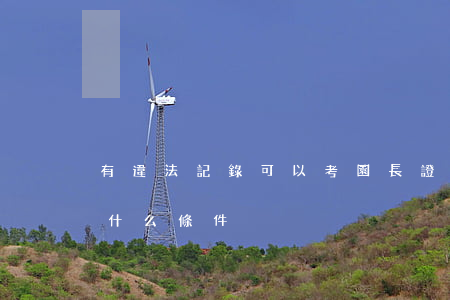 有違法記錄可以考園長證嗎(考取園長證需要什么條件)