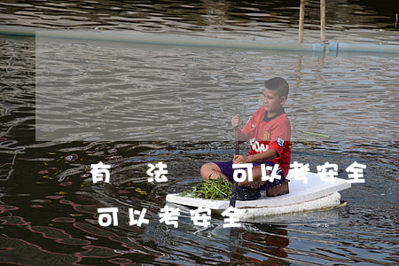 有違法記錄可以考安全評價師嗎(有違法記錄可以考安全評價師嗎)