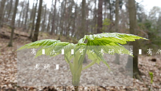 有違法記錄可以考研究生嗎(有作弊記錄影響考研嗎)