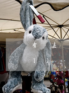 有違法記錄可以考醫(yī)學主治醫(yī)師嗎
