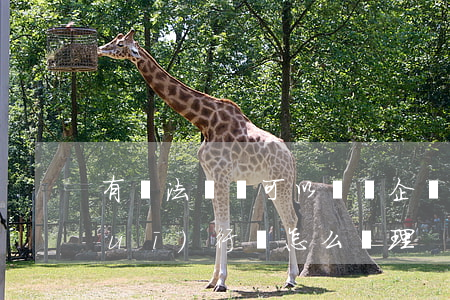 有違法記錄可以進國企嗎(國企干部違規(guī)行為怎么處理)