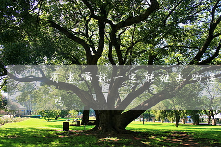 有遗嘱就一定能继承吗(遗嘱指定继承人管用吗)