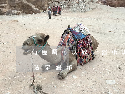 有遺囑可以放棄繼承嗎(放棄遺囑繼承后可以法定繼承)