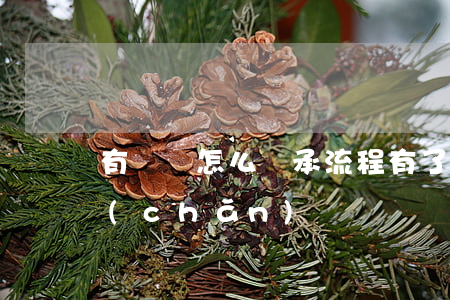 有遺囑怎么繼承流程(有了遺囑如何繼承房產(chǎn))