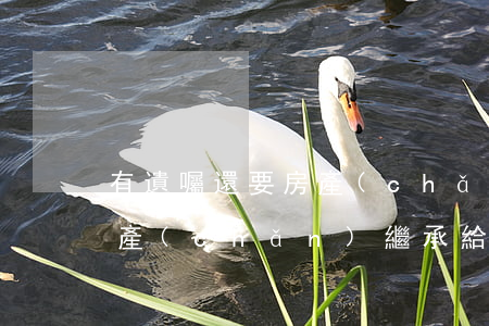 有遺囑還要房產(chǎn)繼承公證嗎(房產(chǎn)繼承給子女遺囑一定要到公證處公證嗎)