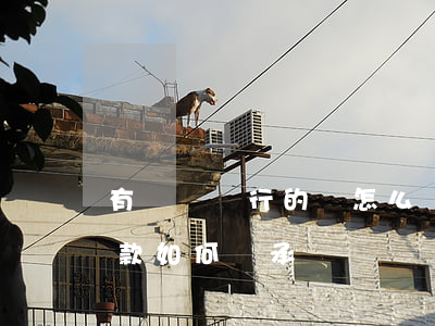 有遺囑銀行的錢怎么繼承(有自書遺囑銀行存款如何繼承)