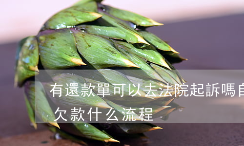 有還款單可以去法院起訴嗎(自己去法院起訴欠款什么流程)