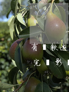 有還款逾期算誠信嗎(還款有逾期如果全部還完還影響信用嗎)