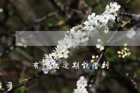 有還款逾期能借到錢嗎