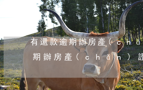 有還款逾期辦房產(chǎn)證(有還款逾期辦房產(chǎn)證)