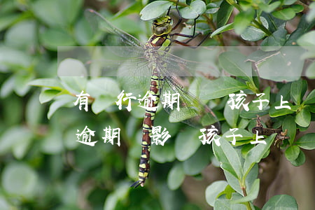 有銀行逾期記錄孩子上學有影響嗎-銀行有逾期會影響孩子上學嗎