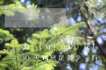 有錢(qián)花1萬(wàn)逾期10天利息是多少-有錢(qián)花1萬(wàn)逾期10天利息是多少錢(qián)