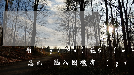 有錢(qián)花5萬(wàn)還不起怎么辦，陷入困境：有錢(qián)花5萬(wàn)還不起，應(yīng)該怎么辦？