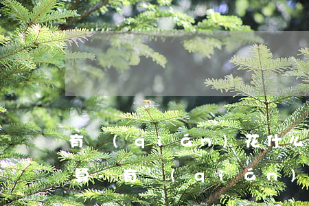 有錢(qián)花什么樣的還款方式最劃算-有錢(qián)花什么樣的還款方式最劃算呢