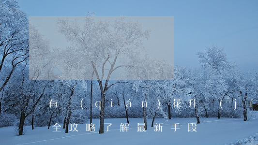 有錢(qián)花升級(jí)催款方式：全攻略了解最新手段