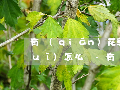 有錢(qián)花尊享貸提前還款會(huì)怎么樣-有錢(qián)花尊享貸提前還款會(huì)怎么樣嗎