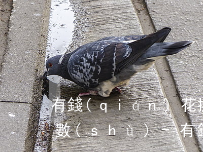 有錢(qián)花提前還款如何算利息天數(shù)-有錢(qián)花提前還款如何算利息天數(shù)呢