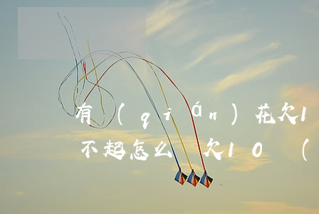 有錢(qián)花欠10萬(wàn) 還不起怎么辦(欠10萬(wàn)塊錢(qián)不還怎么辦)