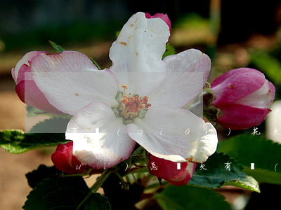 有錢(qián)花欠8000不還會(huì)怎樣(欠有錢(qián)花20000塊錢(qián)現(xiàn)在不想還了)