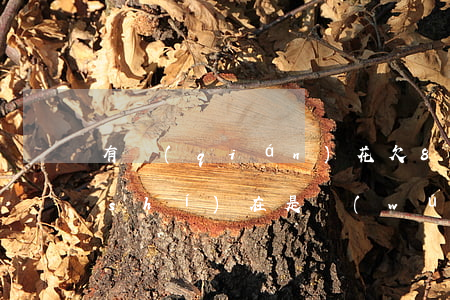 有錢(qián)花欠8萬(wàn)實(shí)在是無(wú)力償還