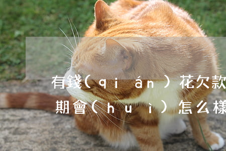 有錢(qián)花欠款兩萬(wàn)逾期會(huì)怎么樣(有錢(qián)花欠款兩萬(wàn)逾期3個(gè)多月說(shuō)已經(jīng)起訴怎么辦)