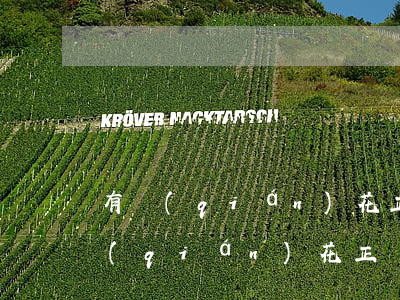 有錢(qián)花正規(guī)嗎(有錢(qián)花正規(guī)嗎)