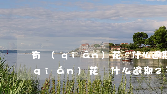 有錢(qián)花為什么逾期2天(有錢(qián)花為什么逾期2天還不了)
