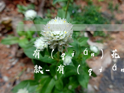 有錢(qián)花為什么選不了24期還款-有錢(qián)花為什么選不了24期還款呢