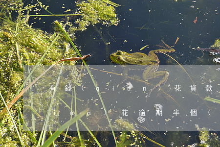 有錢(qián)花貸款逾期不還(有錢(qián)花逾期半個(gè)月了怎么辦)