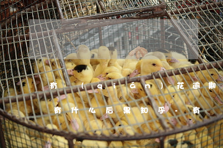 有錢(qián)花逾期一天會(huì)有什么后果知乎-有錢(qián)花逾期一天會(huì)有什么后果知乎嗎