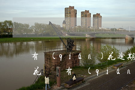 有錢(qián)花逾期會(huì)影響花唄嗎(有錢(qián)花嚴(yán)重逾期會(huì)起訴么)