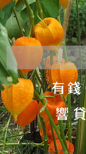 有錢(qián)花逾期還會(huì)影響貸款嗎？解析及解決辦法