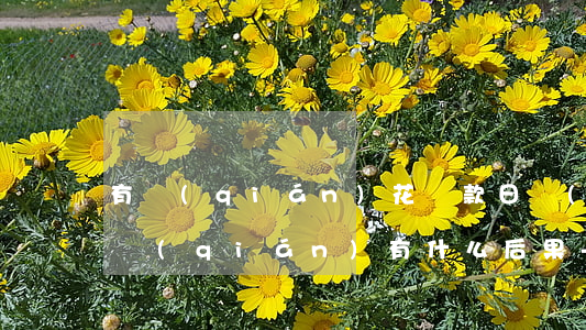 有錢(qián)花還款日沒(méi)還錢(qián)有什么后果-有錢(qián)花還款日沒(méi)還錢(qián)有什么后果嗎