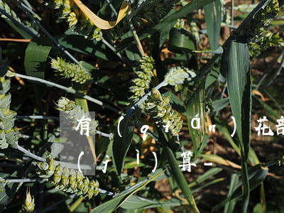 有錢(qián)花部分還款后利息如何計(jì)算-