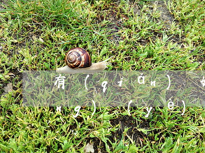 有錢(qián)離婚了還能創(chuàng)業(yè)嗎(離婚后創(chuàng)業(yè))