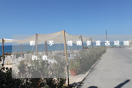 有錢不還信用卡拿去玩游戲(用信用卡玩游戲的有嗎)