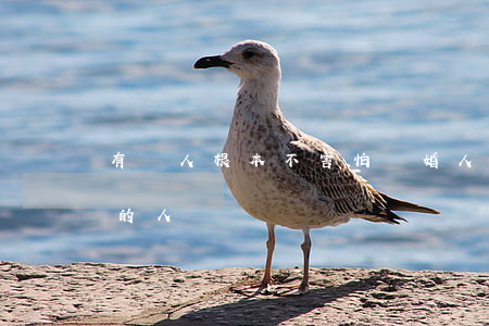 有錢人根本不害怕離婚(人為什么瞧不起離婚的人)