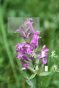 有錢花12萬逾期一年(有錢花12萬逾期一年會怎樣)