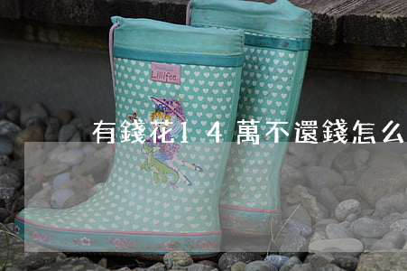 有錢花14萬不還錢怎么停息掛賬