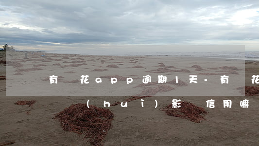 有錢花app逾期1天-有錢花逾期一天忘還會(huì)影響信用嘛