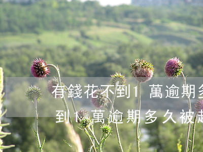 有錢花不到1萬逾期多久被起訴-有錢花不到1萬逾期多久被起訴了