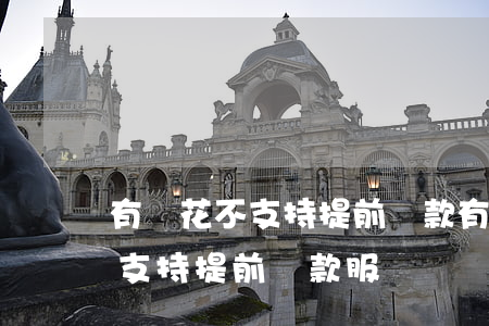 有錢花不支持提前還款，有錢花明確表示，暫不支持提前還款服務