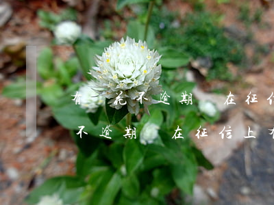 有錢花不逾期會在征信上有記錄嗎-有錢花不逾期會在征信上有記錄嗎