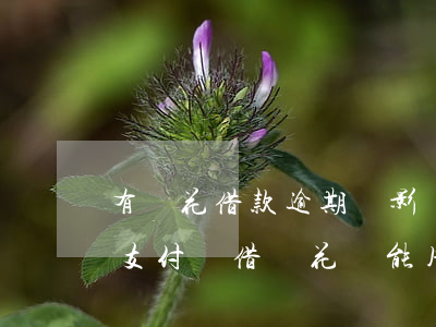 有錢花借款逾期會影響支付寶嗎（有錢花逾期支付寶借唄花唄能用嗎）